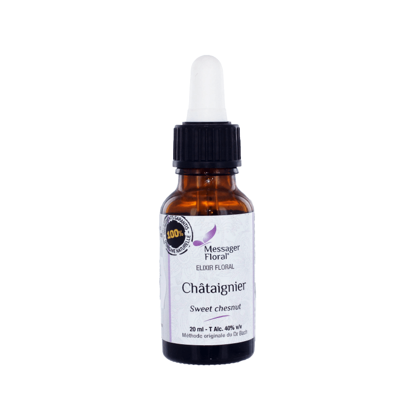 Chataignier - Sweet chestnut - Fleur de Bach - Natura Mundi - Arbolayre