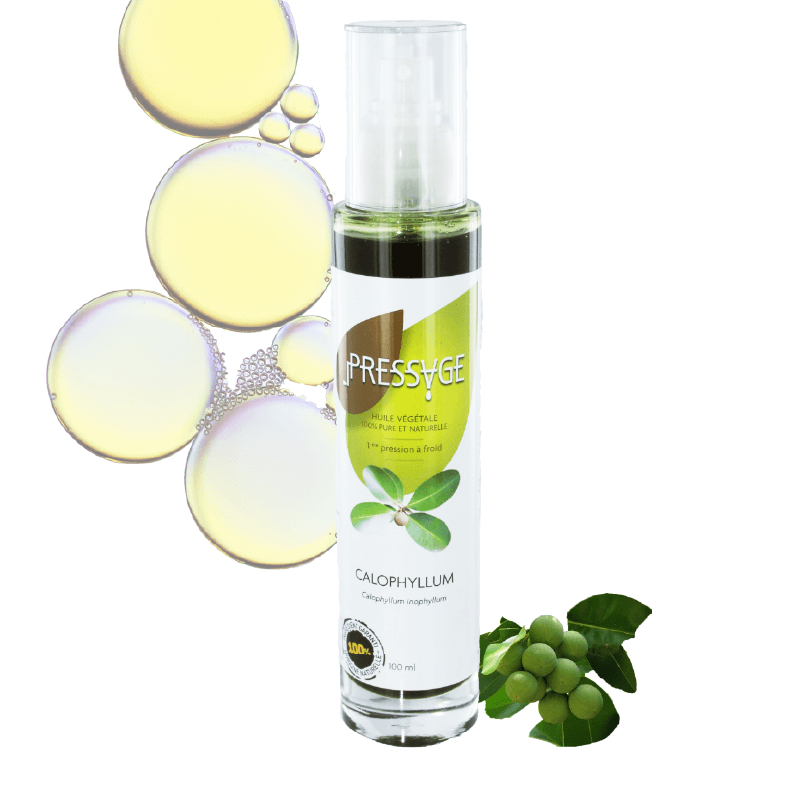 Calophylle huile végétale circulation massage