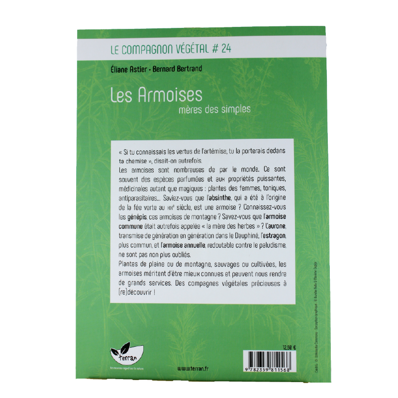 Les armoises, mères des simples - Natura Mundi - Arbolayre