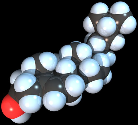 La vraie histoire du cholestérol...