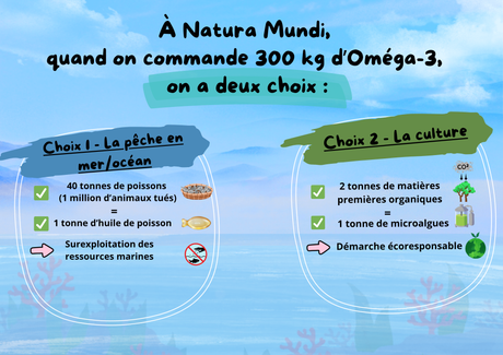 Savoir (presque) tout sur les Oméga-3…