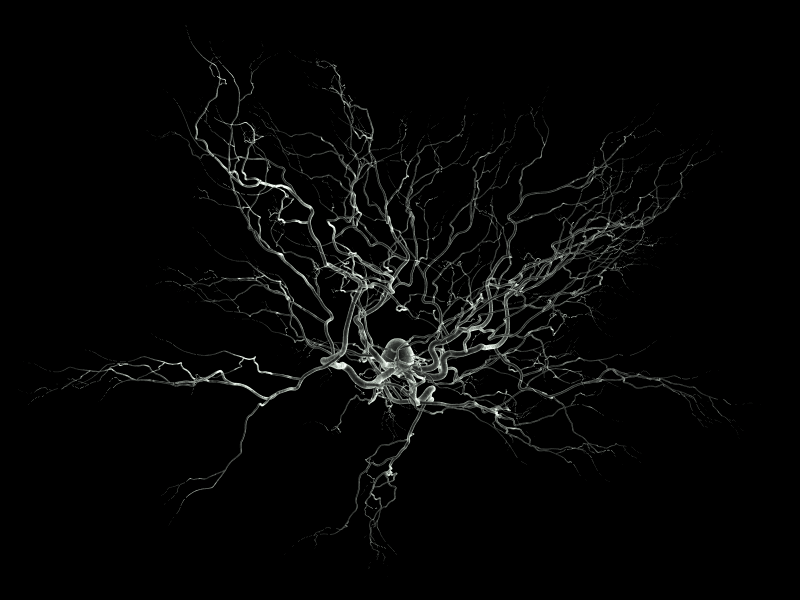 Neurone