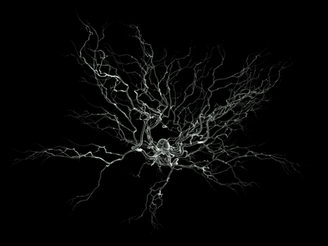 Neurone
