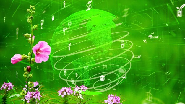 Rythmes biologiques : les plantes qui donnent le tempo