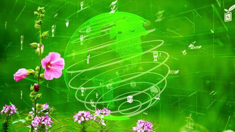 Rythmes biologiques : les plantes qui donnent le tempo