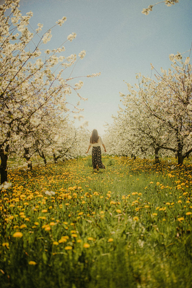 Fleurs de Bach et émotions, mode d’emploi