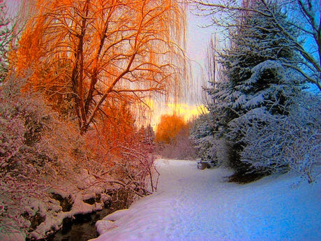 Pour faire le plein d´énergie, l’hiver est le bon moment !