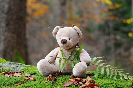 Pour les petits