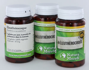 Eleuthérocoque