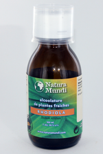 Rhodiola rosea - Extrait hydro-alcoolique - Natura Mundi - Arbolayre
