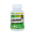 Baccharis - Natura Mundi - Arbolayre