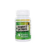 Ferments lactiques