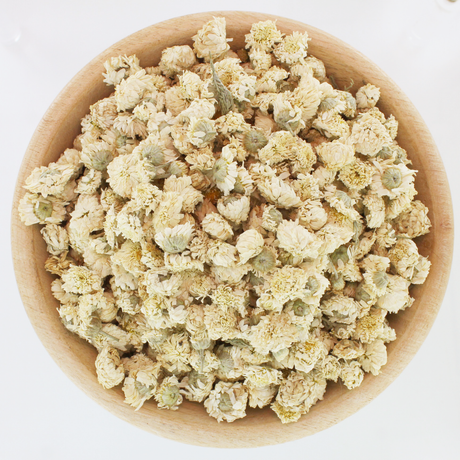 Camomille romaine fleurs infusions tisanes soir