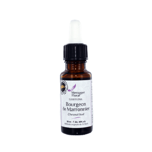 Marronnier bourgeon - Chestnut bud - Fleur de Bach