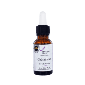 Chataignier - Sweet chestnut - Fleur de Bach - Natura Mundi - Arbolayre