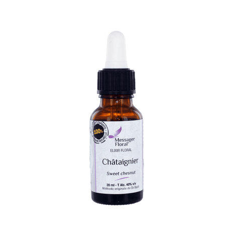Chataignier - Sweet chestnut - Fleur de Bach - Natura Mundi - Arbolayre