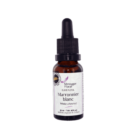 Marronnier blanc - White chestnut - Fleur de Bach - Natura Mundi - Arbolayre