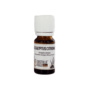 Eucalyptus citronné - Huile essentielle