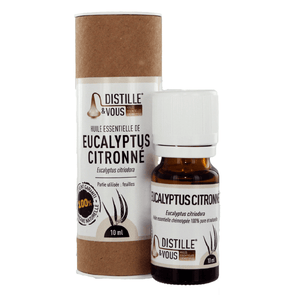 Eucalyptus citronné - Huile essentielle