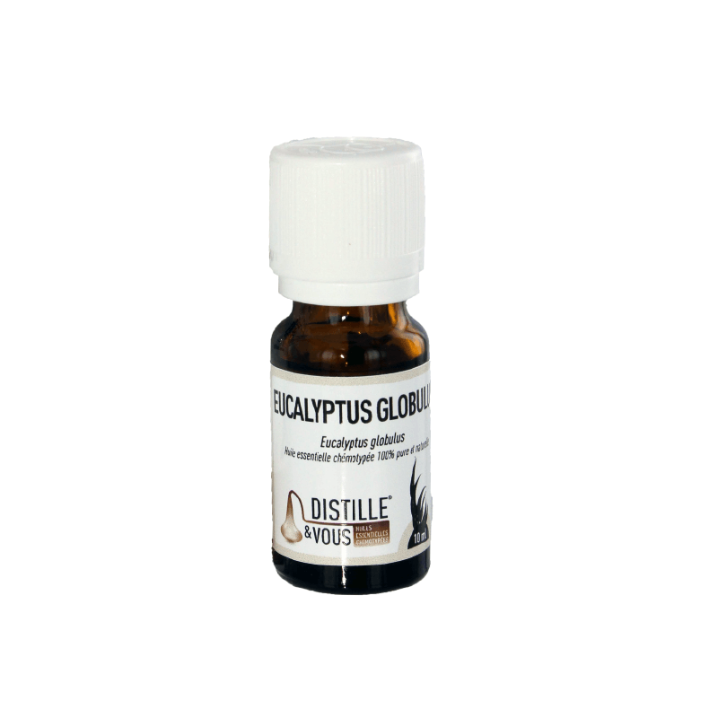 Eucalyptus globulus - Huile essentielle