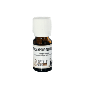 Eucalyptus globulus - Huile essentielle
