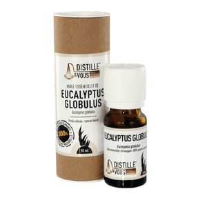 Eucalyptus globulus - Huile essentielle