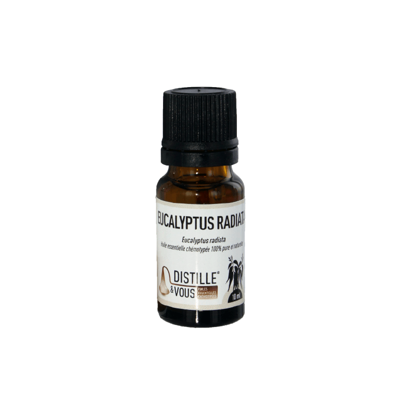 Eucalyptus radiata - Huile essentielle