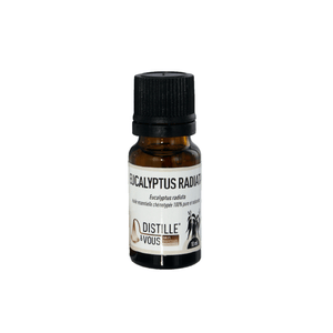 Eucalyptus radiata - Huile essentielle