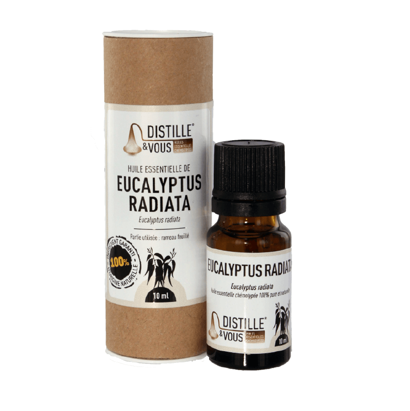 Eucalyptus radiata - Huile essentielle