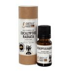 Eucalyptus radiata - Huile essentielle