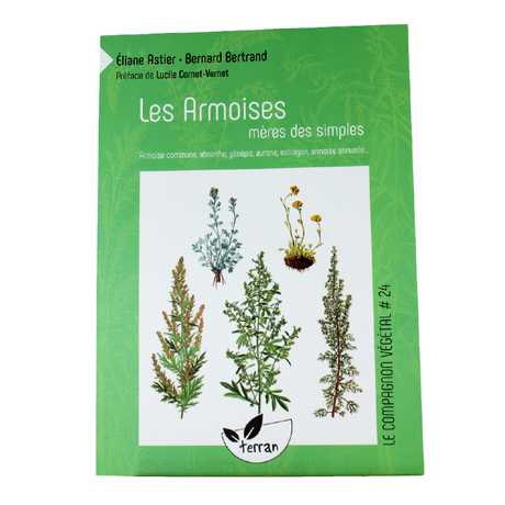 Les armoises, mères des simples - Natura Mundi - Arbolayre