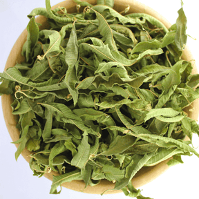 Verveine odorante feuille - Natura Mundi - Arbolayre