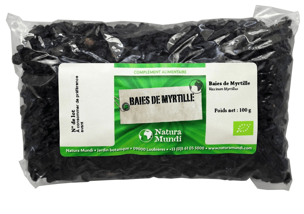 Myrtille sauvage fruit